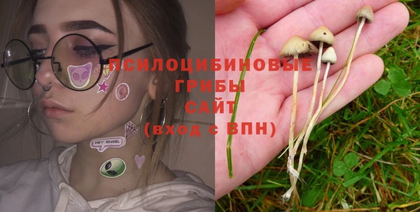 a pvp Абинск