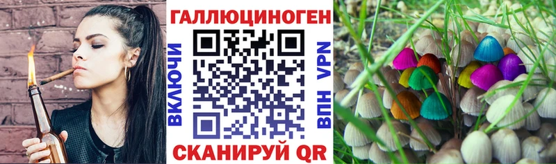 omg рабочий сайт  Шахунья  Галлюциногенные грибы прущие грибы  сколько стоит 