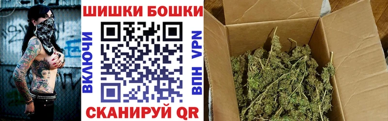 Канабис план  Шахунья 